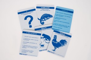 Resources - your competences (Zasoby - Twoje kompetencje) (1)