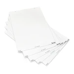 Papier Neuland FlipChart Mini do flipchartów TableTop i TopChart biały w krzyżyki