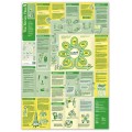 Broszura edukacyjna Neuland Learning Map No. 10 o The Scrum Flow