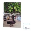 Karty Inspiracji