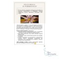 E-book - 15 sposobów łączenia w podgrupy