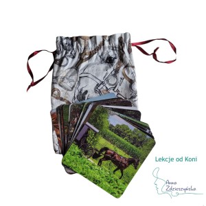 Karty Lekcje od Koni