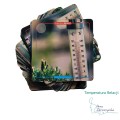Temperatura Relacji