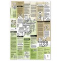 Broszura edukacyjna Neuland Learning Map No.12 o Organizational Literacy
