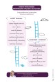 infografiki-1-6_SM-06-scaled.jpg