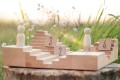 IAN_6550-scaled.jpg