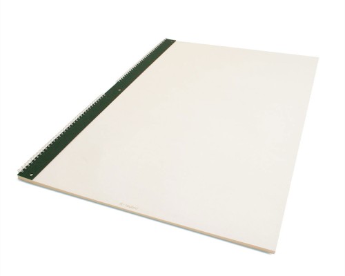 Papier do FlipChart ProjectBook