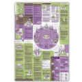 Broszura edukacyjna Neuland Learning Map No. 9 o metodzie The Circle Way