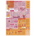 Broszura edukacyjna Neuland Learning Map No. 8 o Dynamic Faciliation