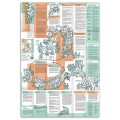 Broszura edukacyjna Neuland Learning Map No. 3 o metodzie Appreciative Inquiry (AI)