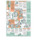 Broszura edukacyjna Neuland Learning Map No. 3 o metodzie Appreciative Inquiry (AI)