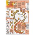 Broszura edukacyjna Neuland Learning Map No. 1 o metodzie Open Space Technology