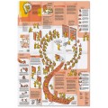 Broszura edukacyjna Neuland Learning Map No. 1 o metodzie Open Space Technology